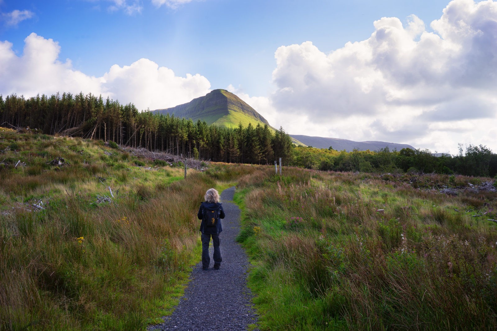 Ben Bulbin
