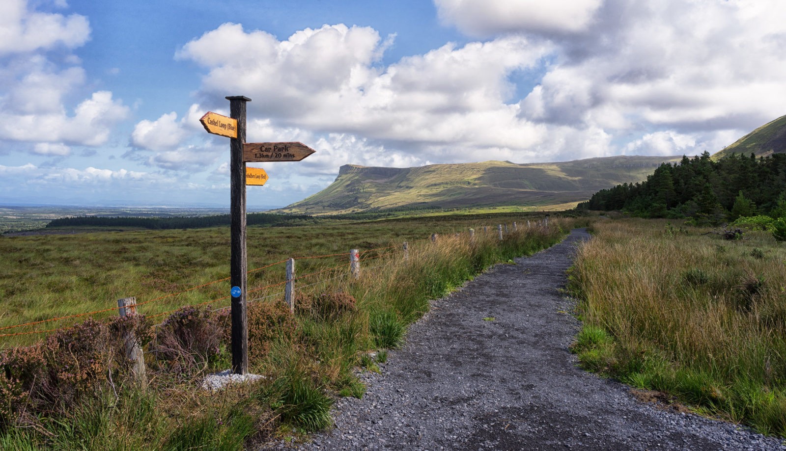 Ben Bulben