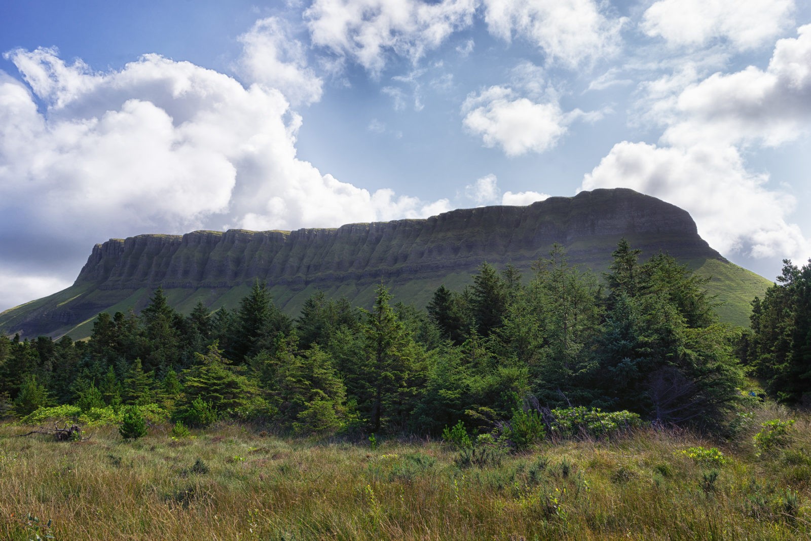 Ben Bulben