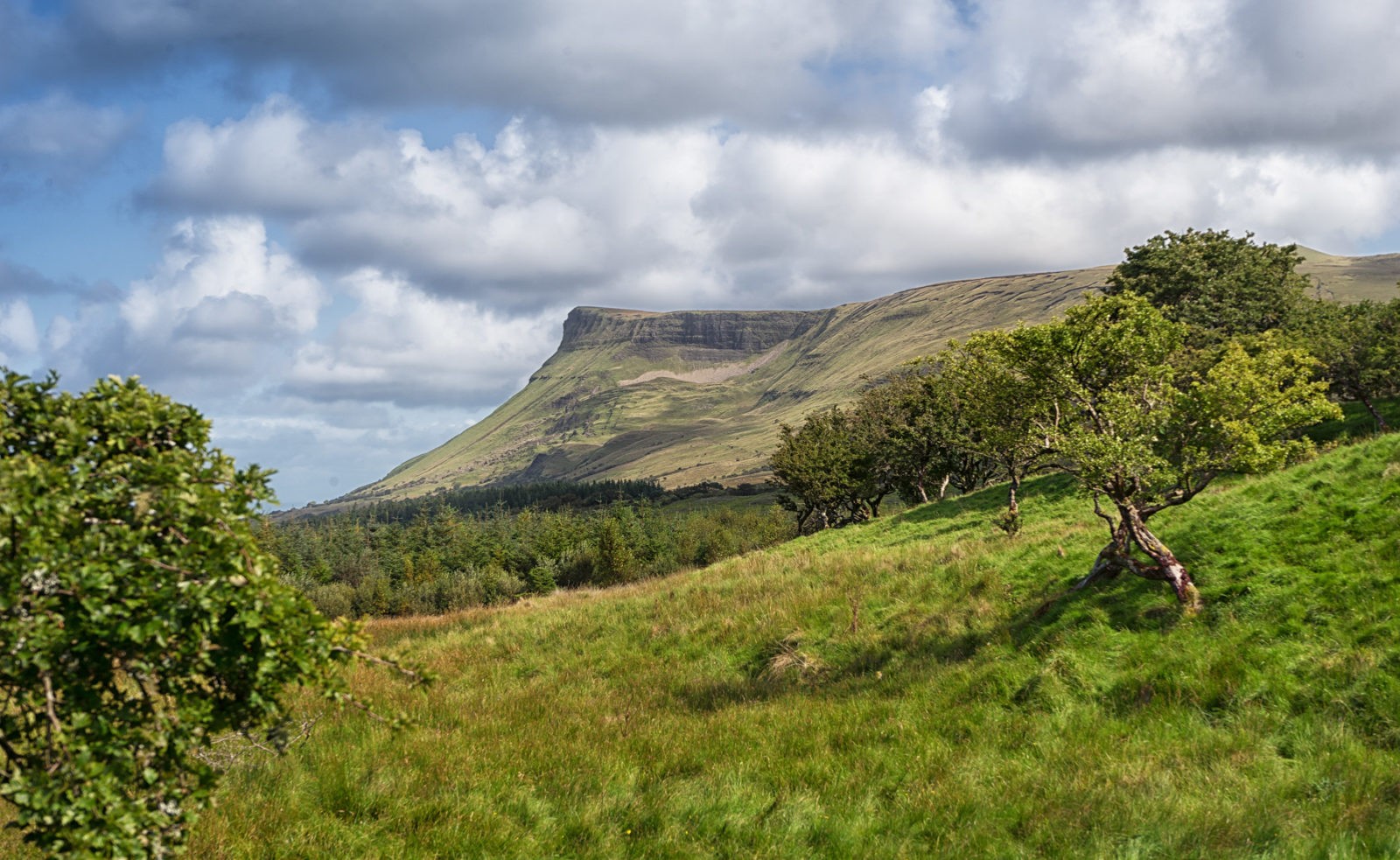 Ben Bulben