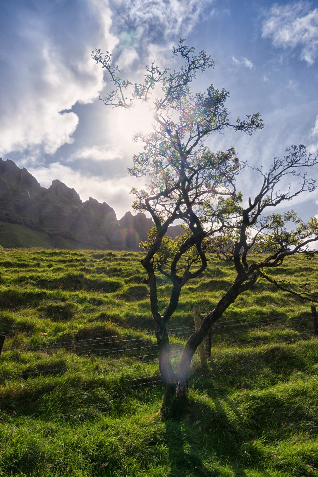 Ben Bulben