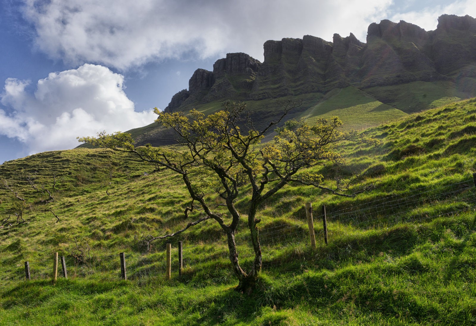 Ben Bulben