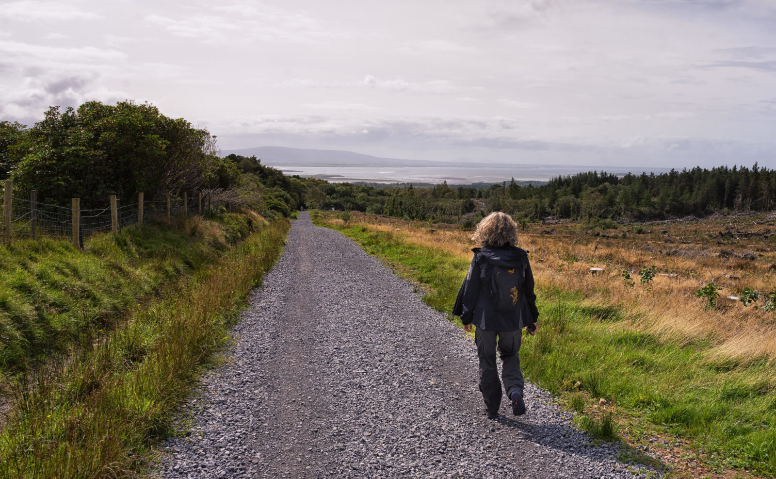 Ben Bulben