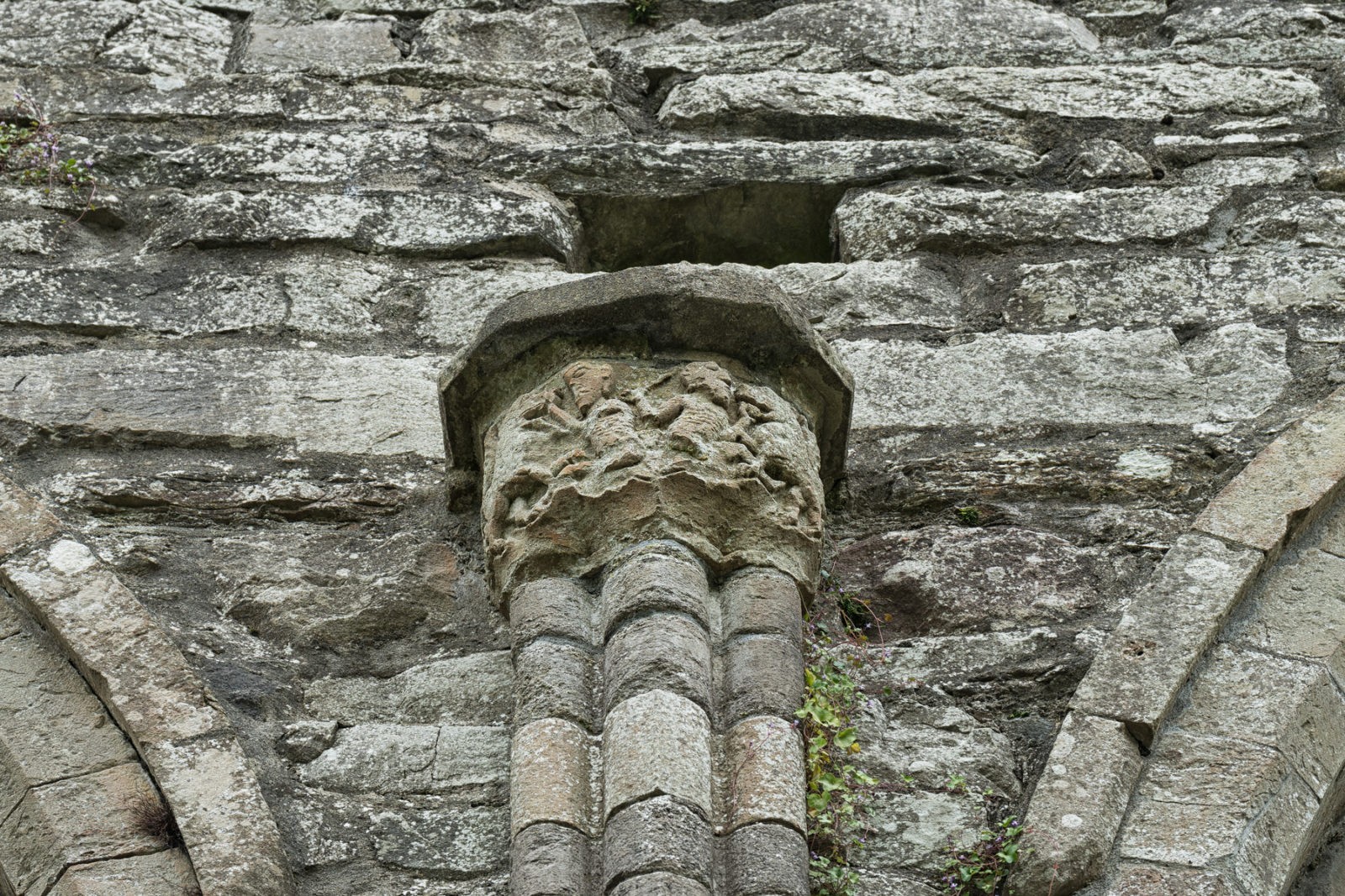 Boyle Abbey