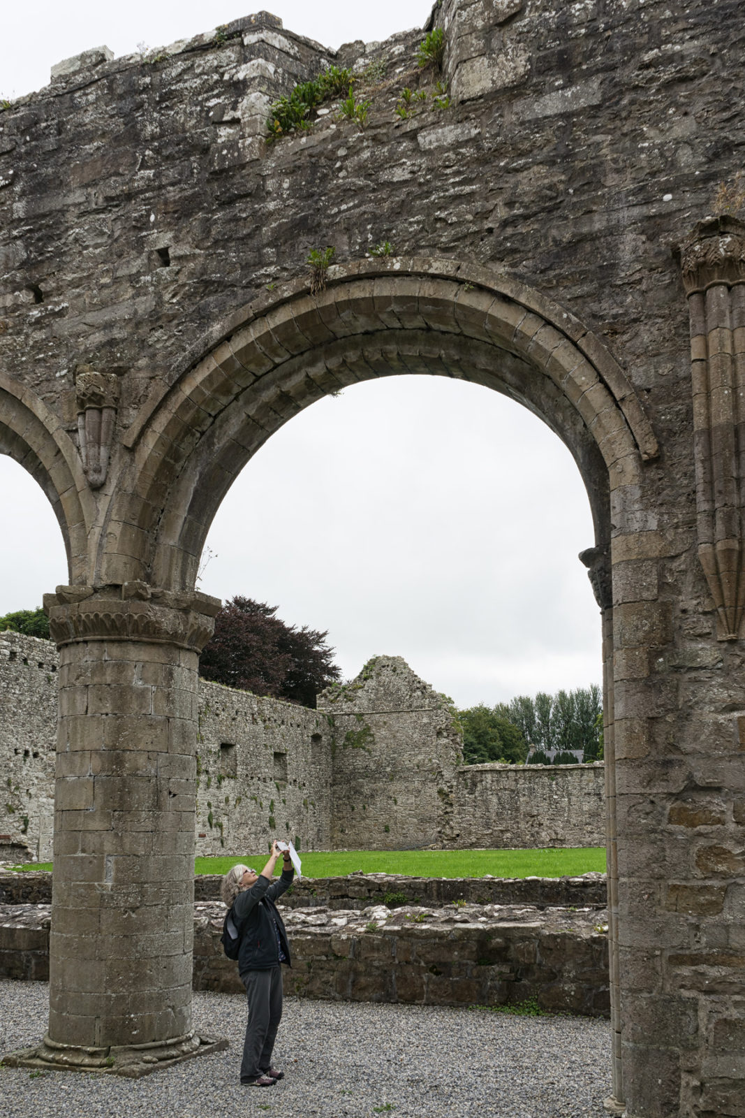 Boyle Abbey