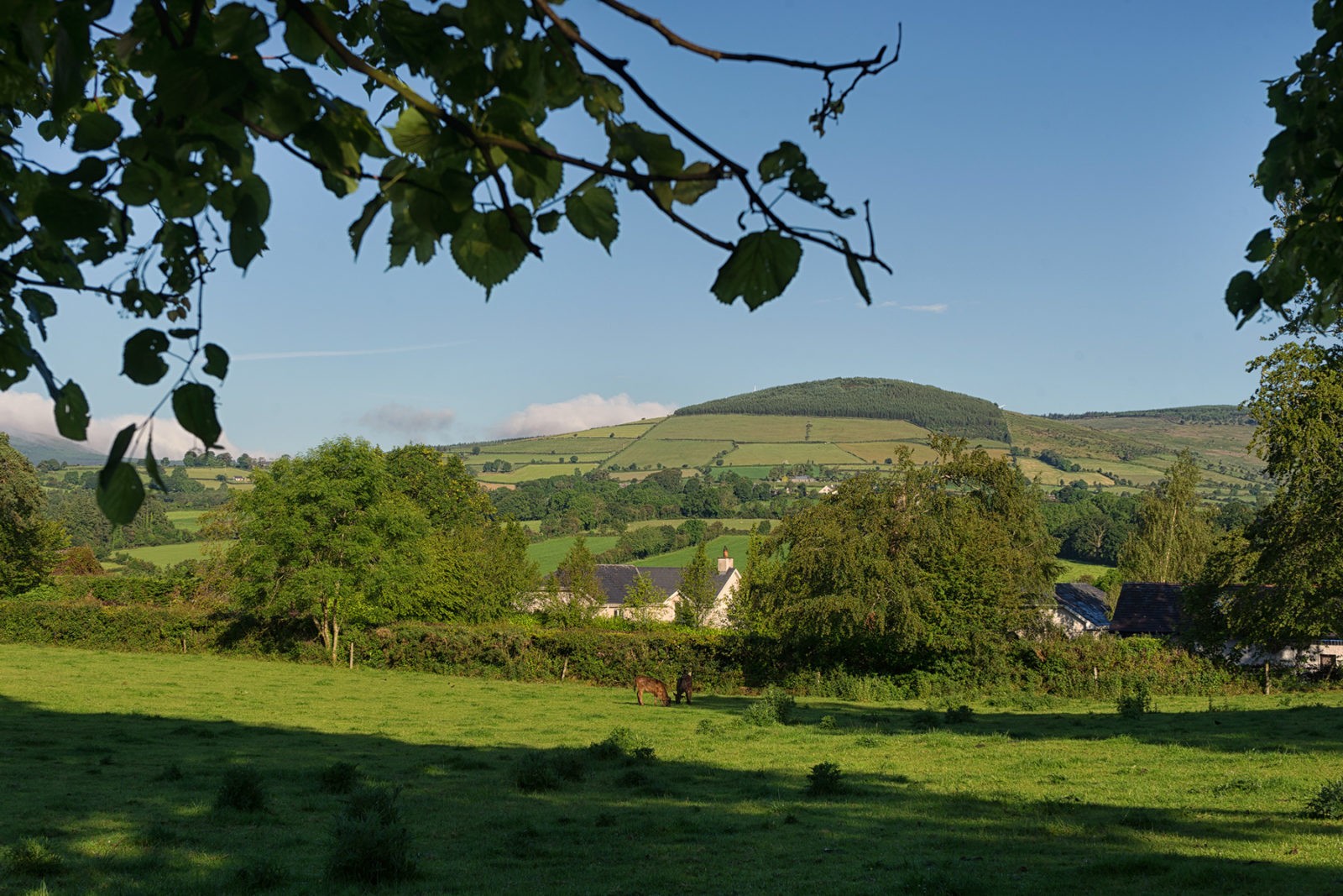 Wicklow Way von Clonegall nach Shillelagh