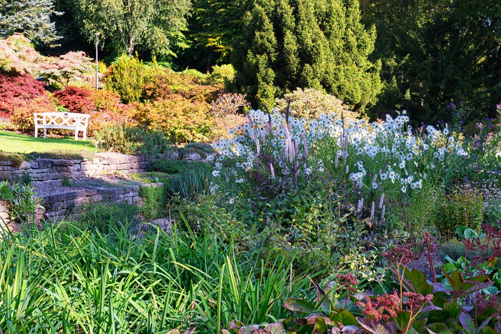 Botanischer Garten Bielefeld