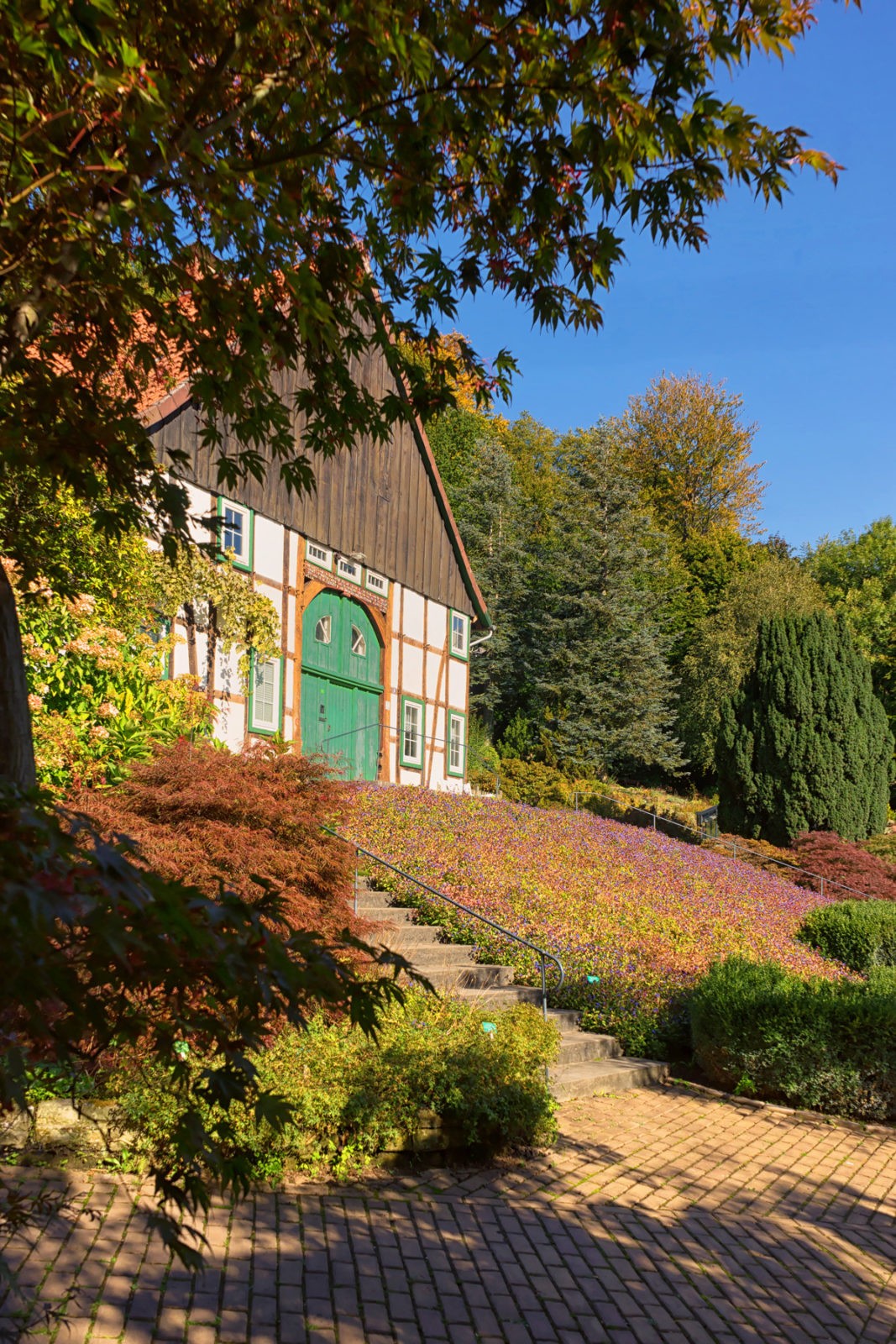 Botanischer Garten Bielefeld
