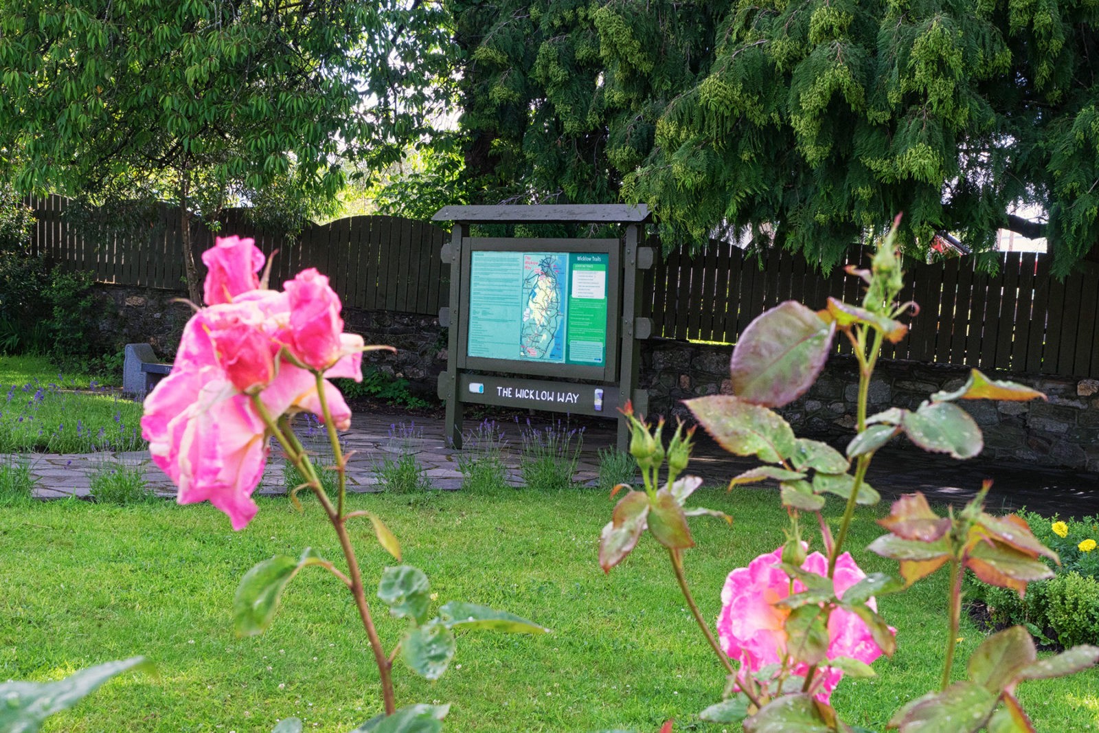 Wicklow Way von Clonegall nach Shillelagh