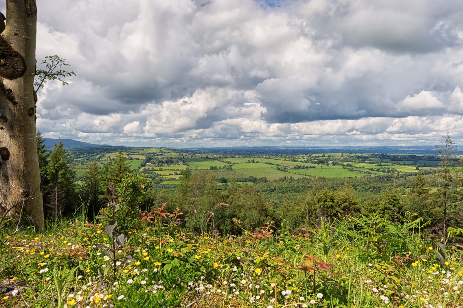Wicklow Way von Clonegall nach Shillelagh