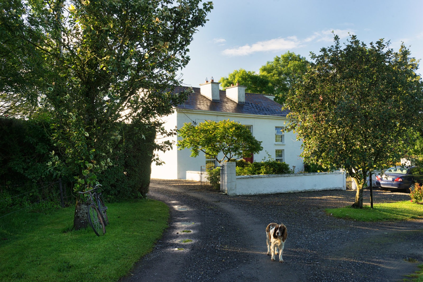 Wicklow Way von Clonegall nach Shillelagh