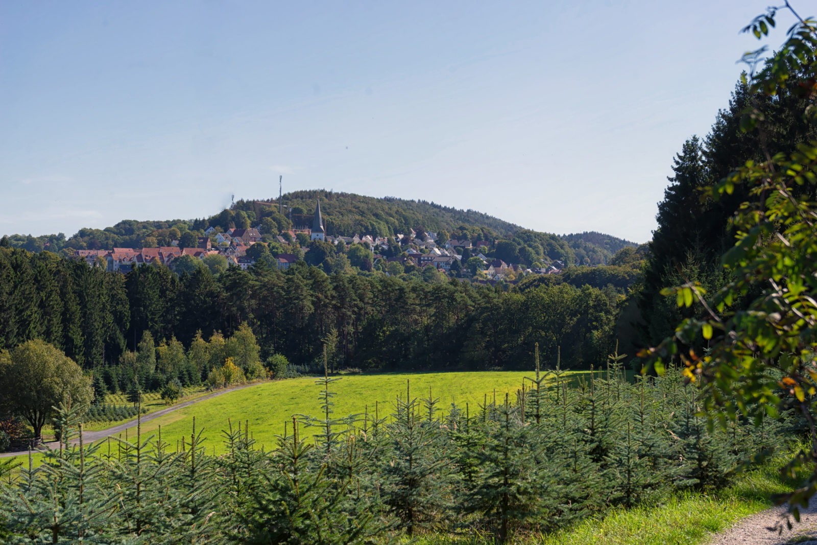 Neuland-Wanderweg