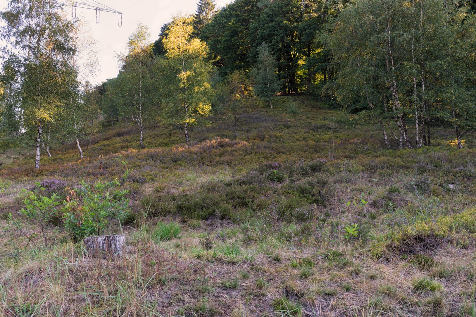 Neuland-Wanderweg