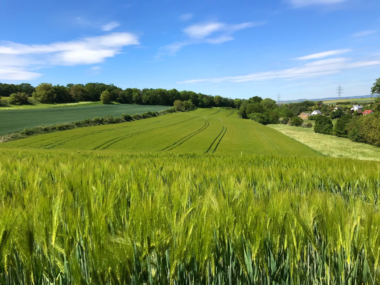 Traumhafter Keberbach, Carlshöhe und sonniges Maifeld