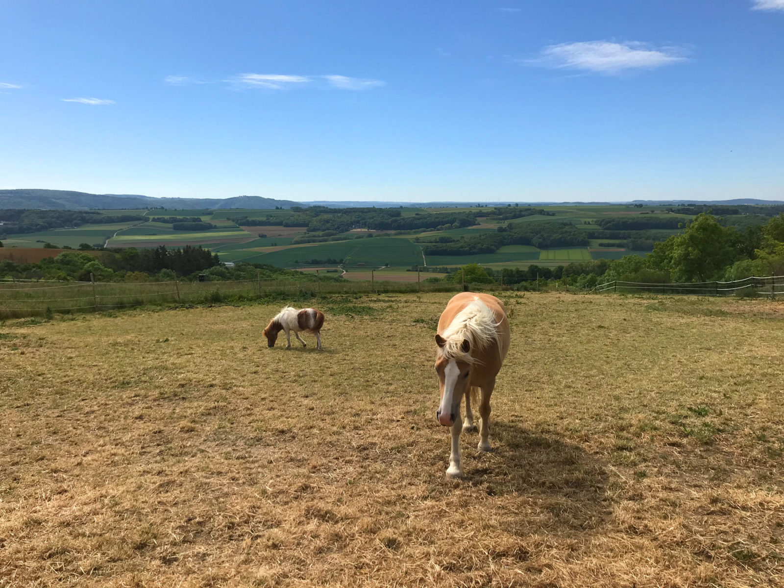 Traumhafter Keberbach, Carlshöhe und sonniges Maifeld