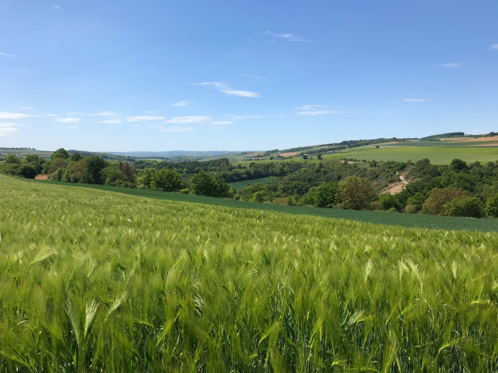 Traumhafter Keberbach, Carlshöhe und sonniges Maifeld