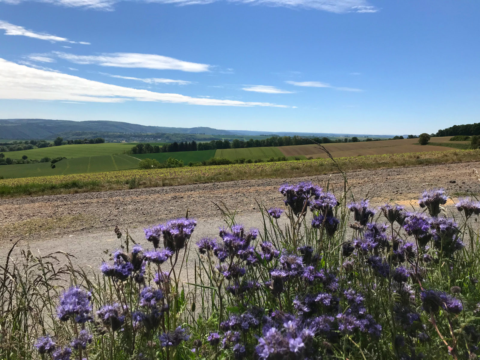 Traumhafter Keberbach, Carlshöhe und sonniges Maifeld