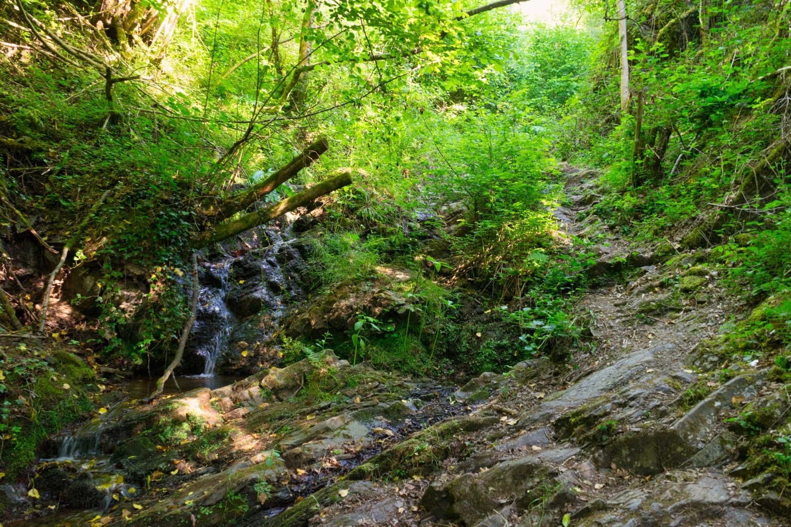 Hatzenport und Burg Bischofstein