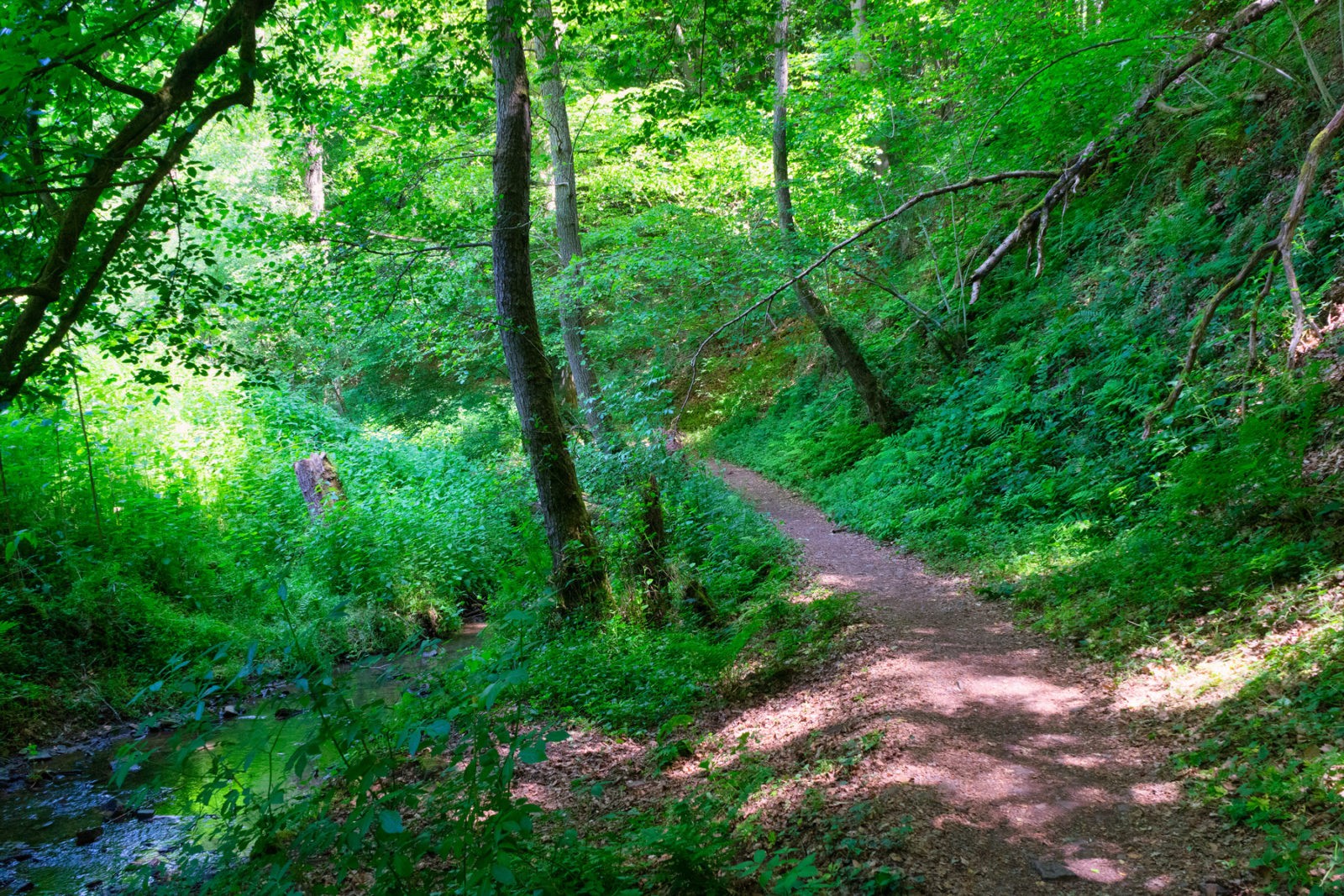 Hatzenport und Burg Bischofstein