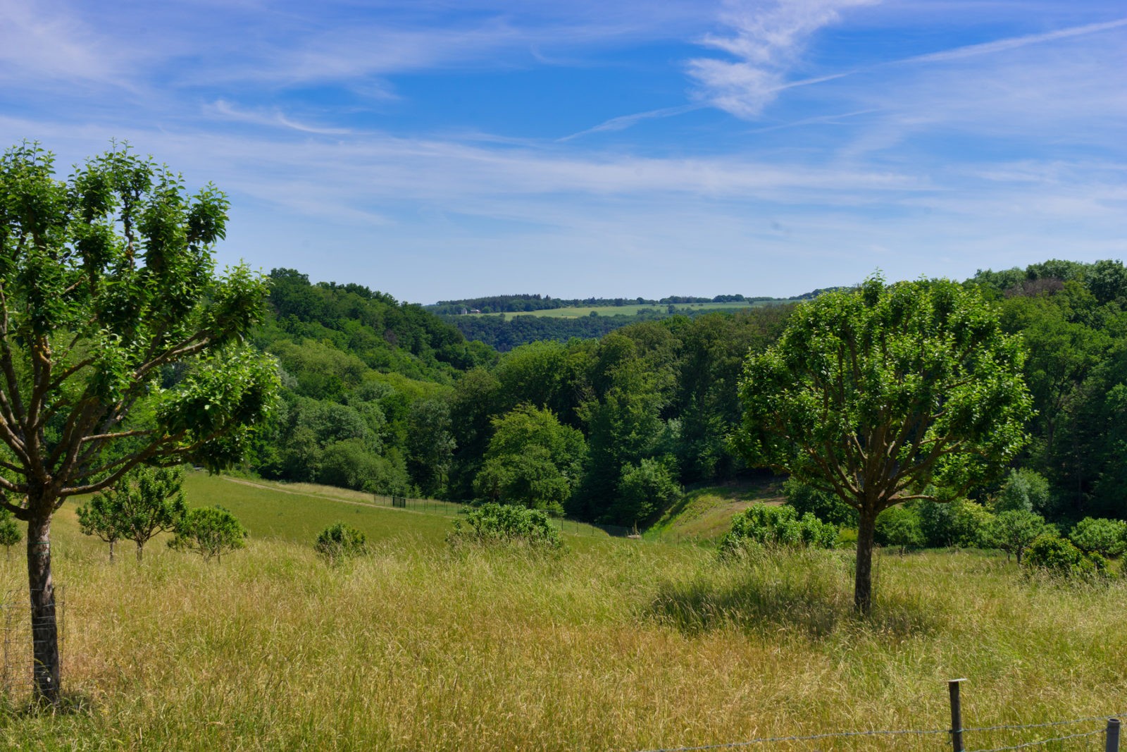 Hatzenport und Burg Bischofstein