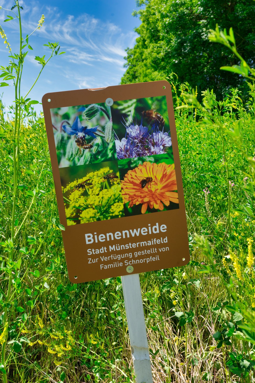 Hatzenport und Burg Bischofstein