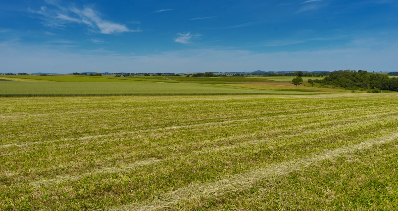 Hatzenport und Burg Bischofstein