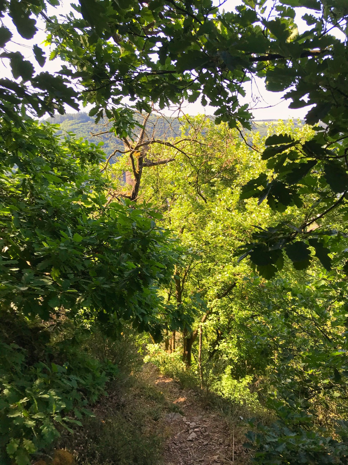 Hatzenport und Burg Bischofstein