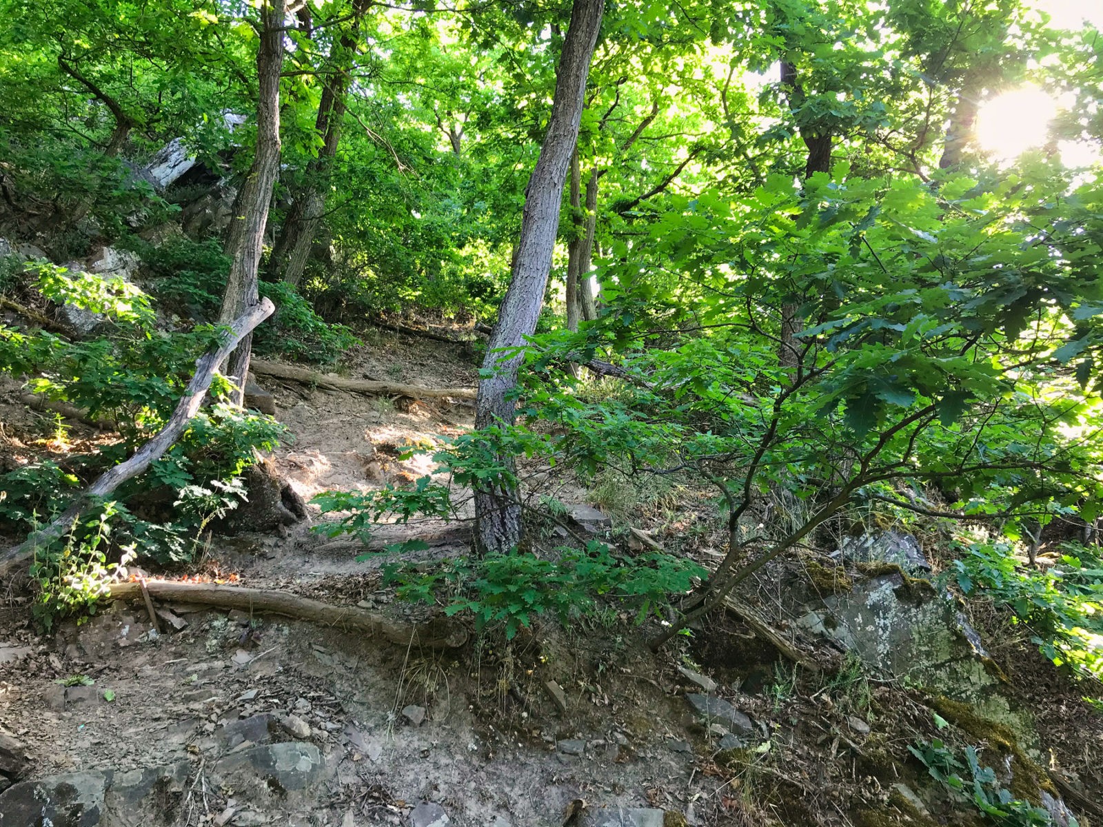 Hatzenport und Burg Bischofstein