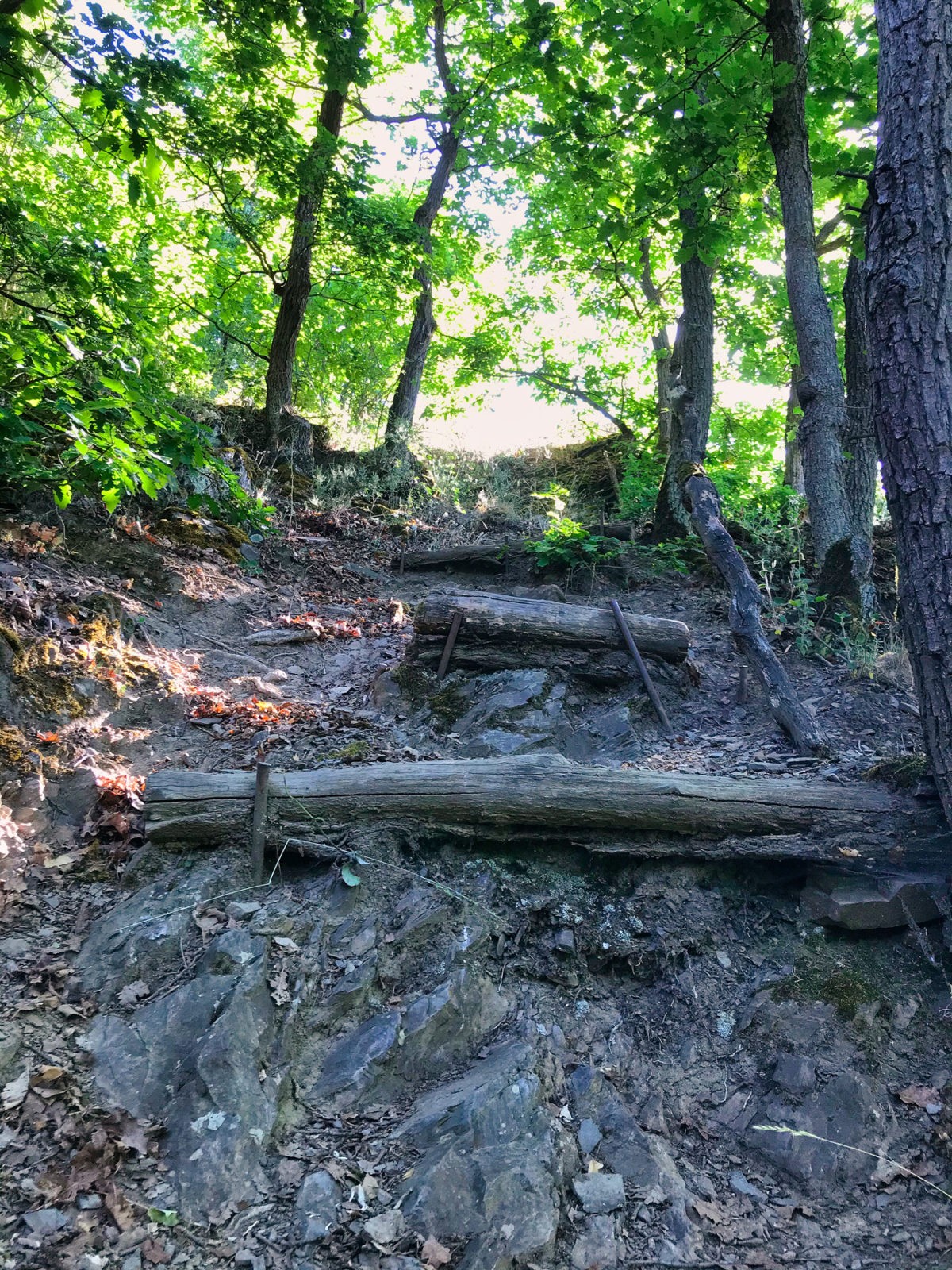 Hatzenport und Burg Bischofstein
