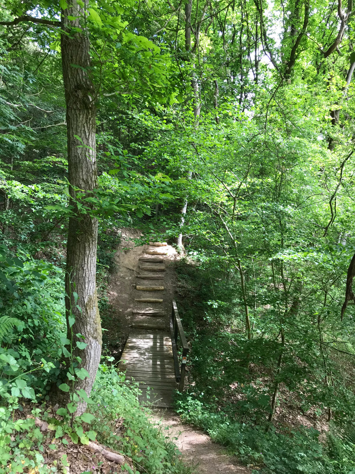 Traumhafter Keberbach, Carlshöhe und sonniges Maifeld