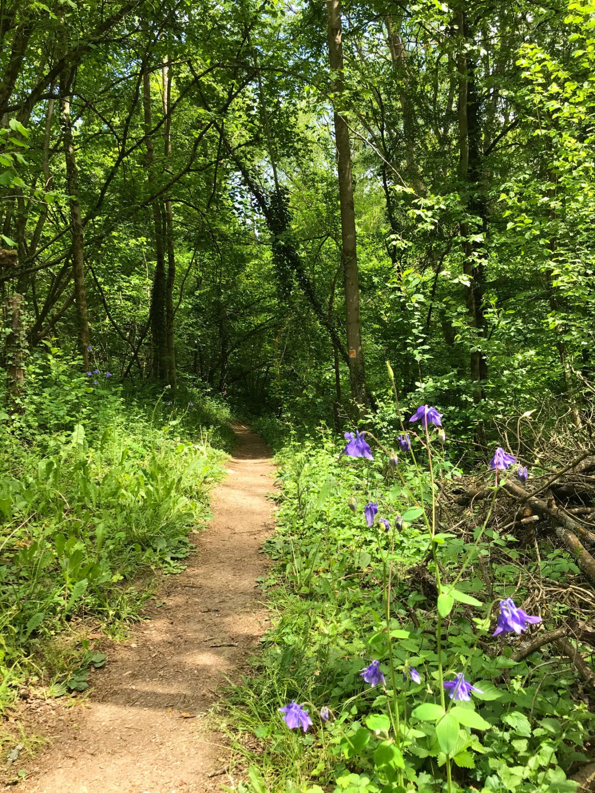 Traumhafter Keberbach, Carlshöhe und sonniges Maifeld