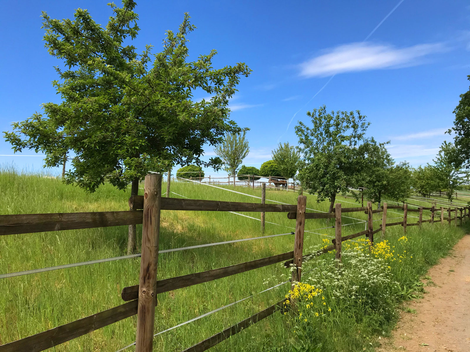 Traumhafter Keberbach, Carlshöhe und sonniges Maifeld