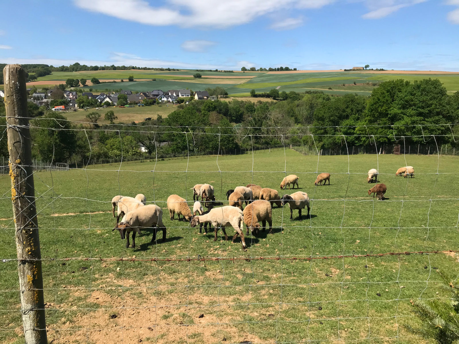 Traumhafter Keberbach, Carlshöhe und sonniges Maifeld