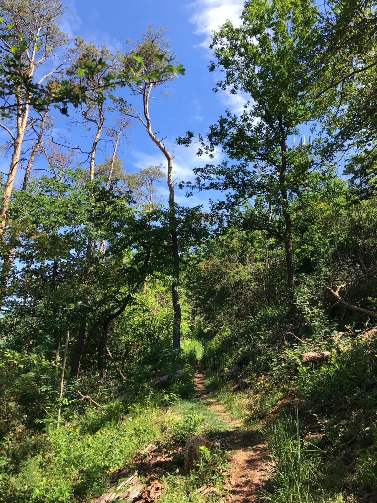 Traumhafter Keberbach, Carlshöhe und sonniges Maifeld