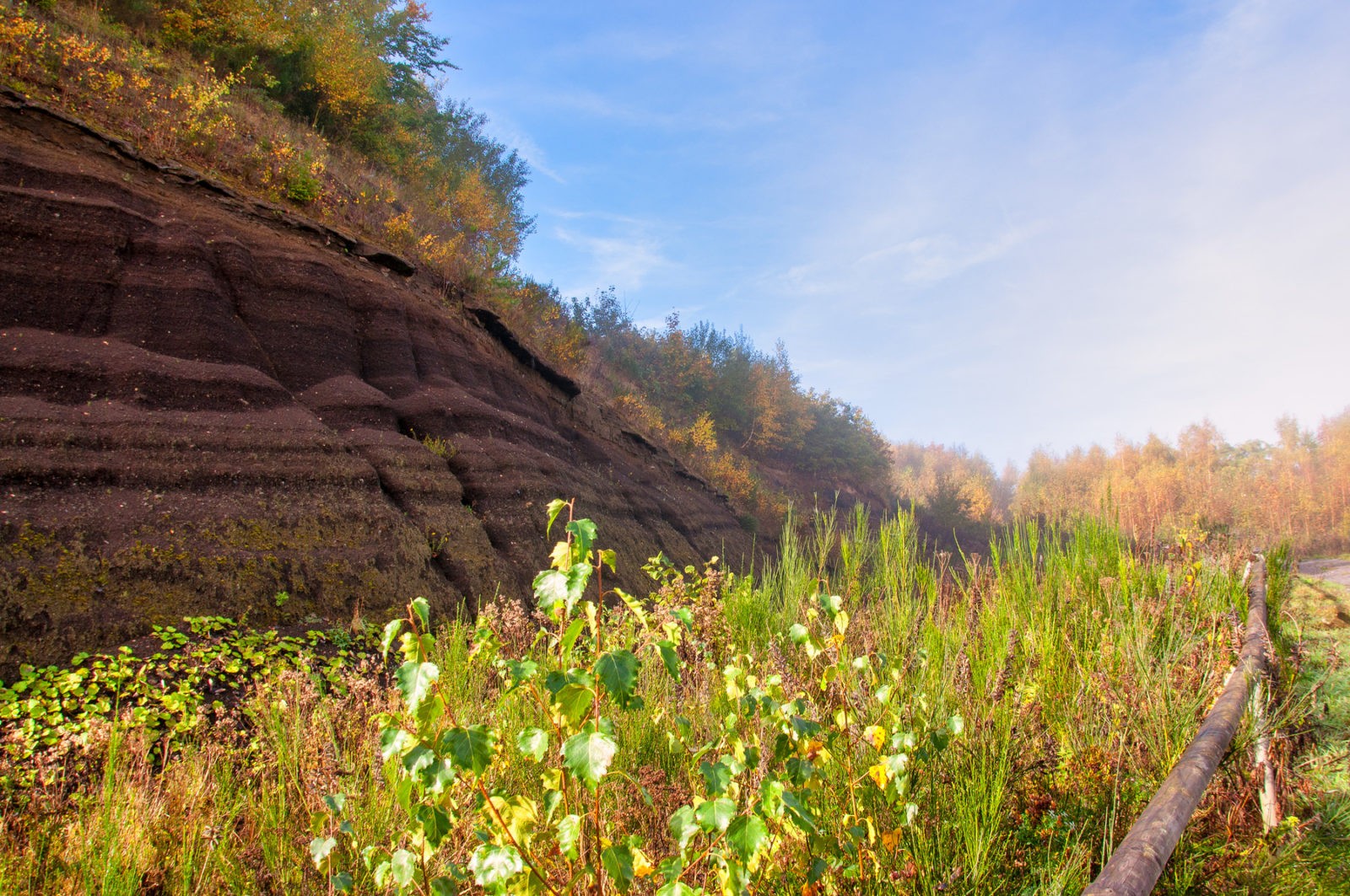 Traumpfad Pellenzer Seepfad