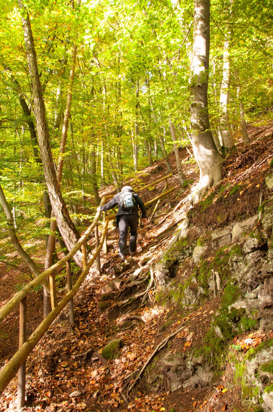 Traumpfad Pellenzer Seepfad