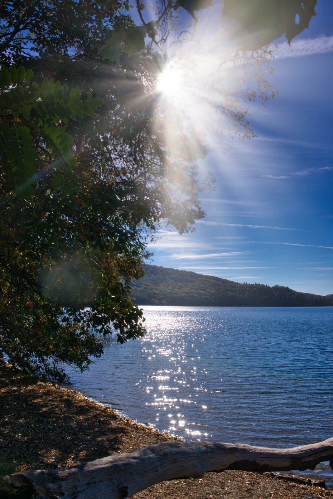 Traumpfad Pellenzer Seepfad