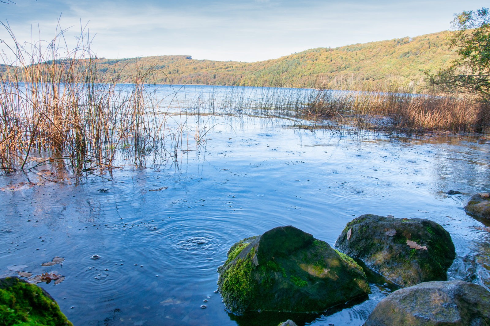 Traumpfad Pellenzer Seepfad