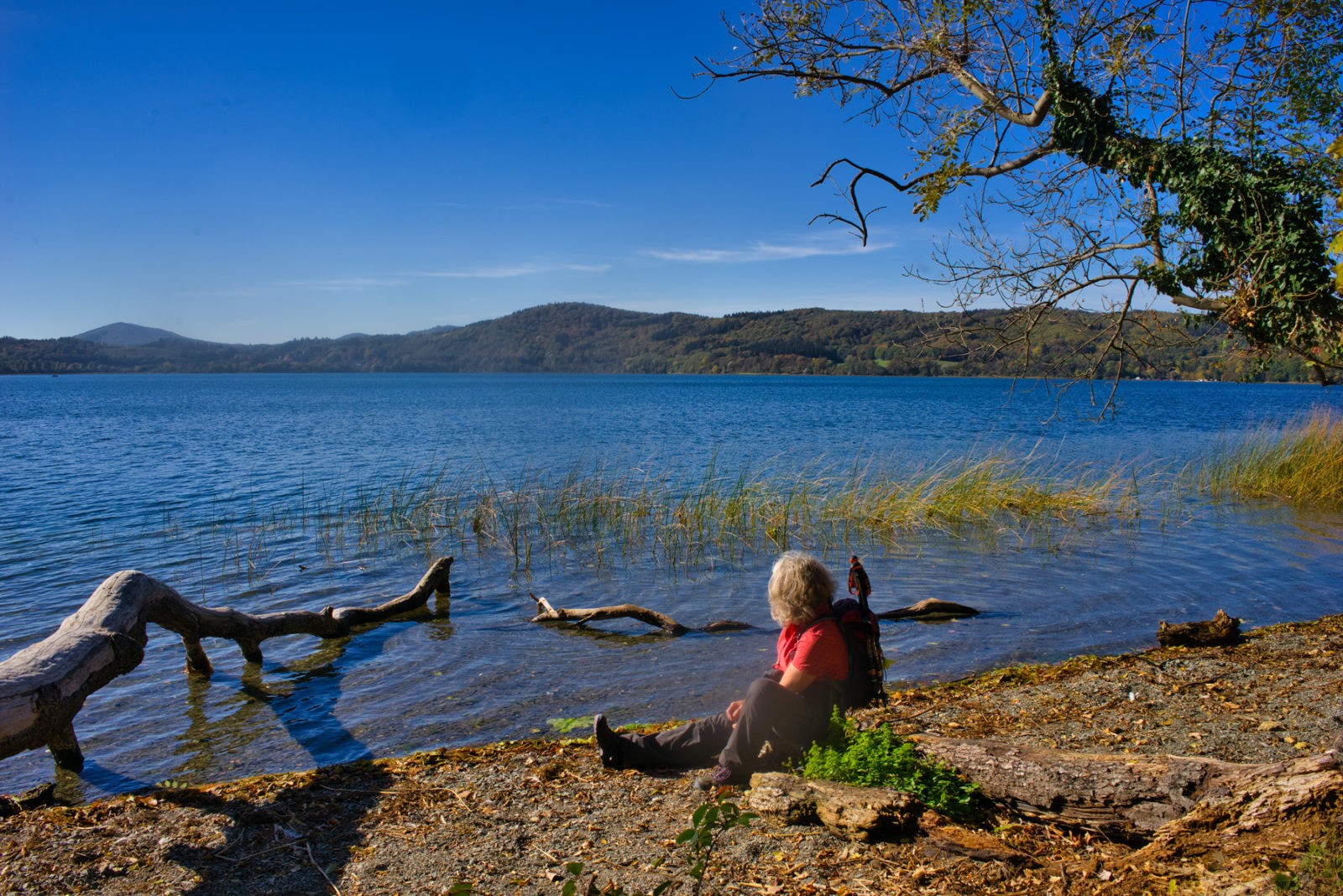 Traumpfad Pellenzer Seepfad