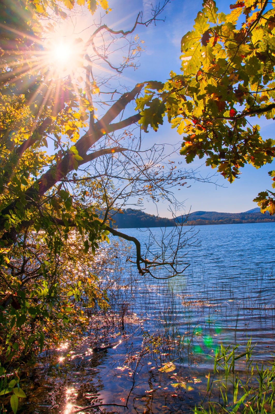 Traumpfad Pellenzer Seepfad