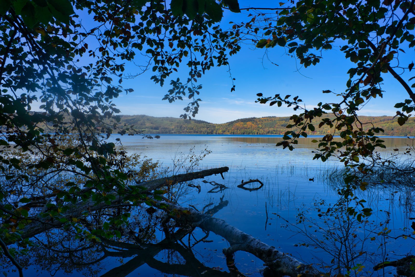 Traumpfad Pellenzer Seepfad