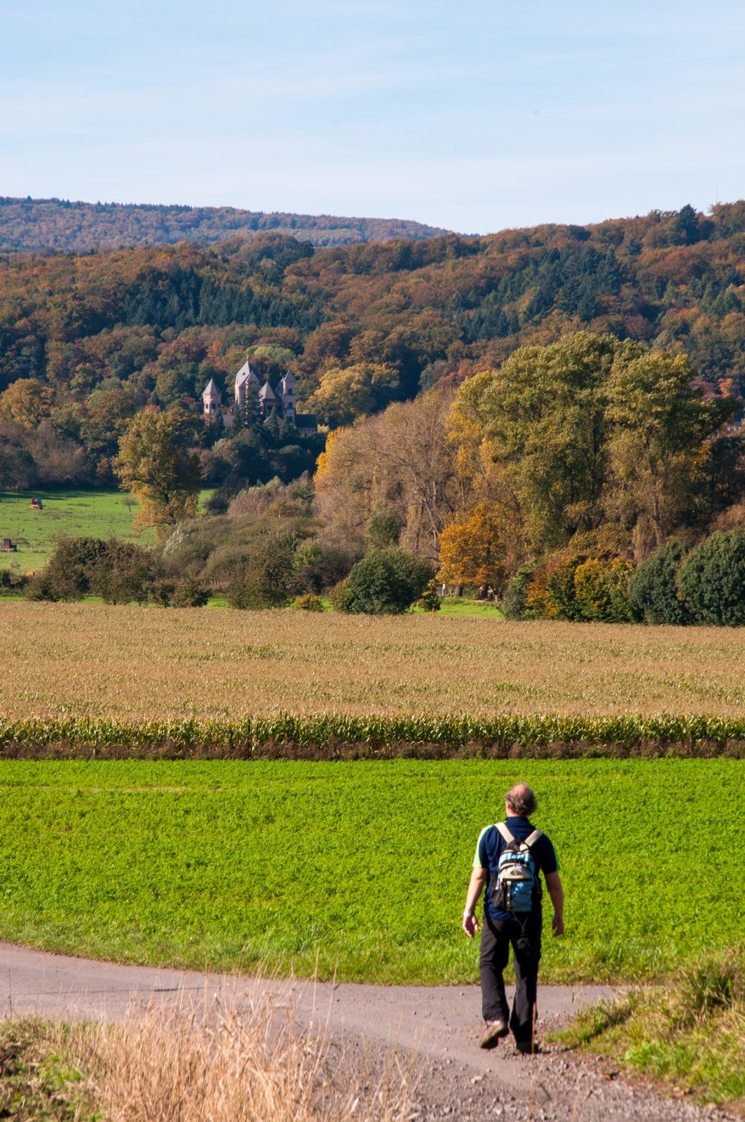 Traumpfad Pellenzer Seepfad