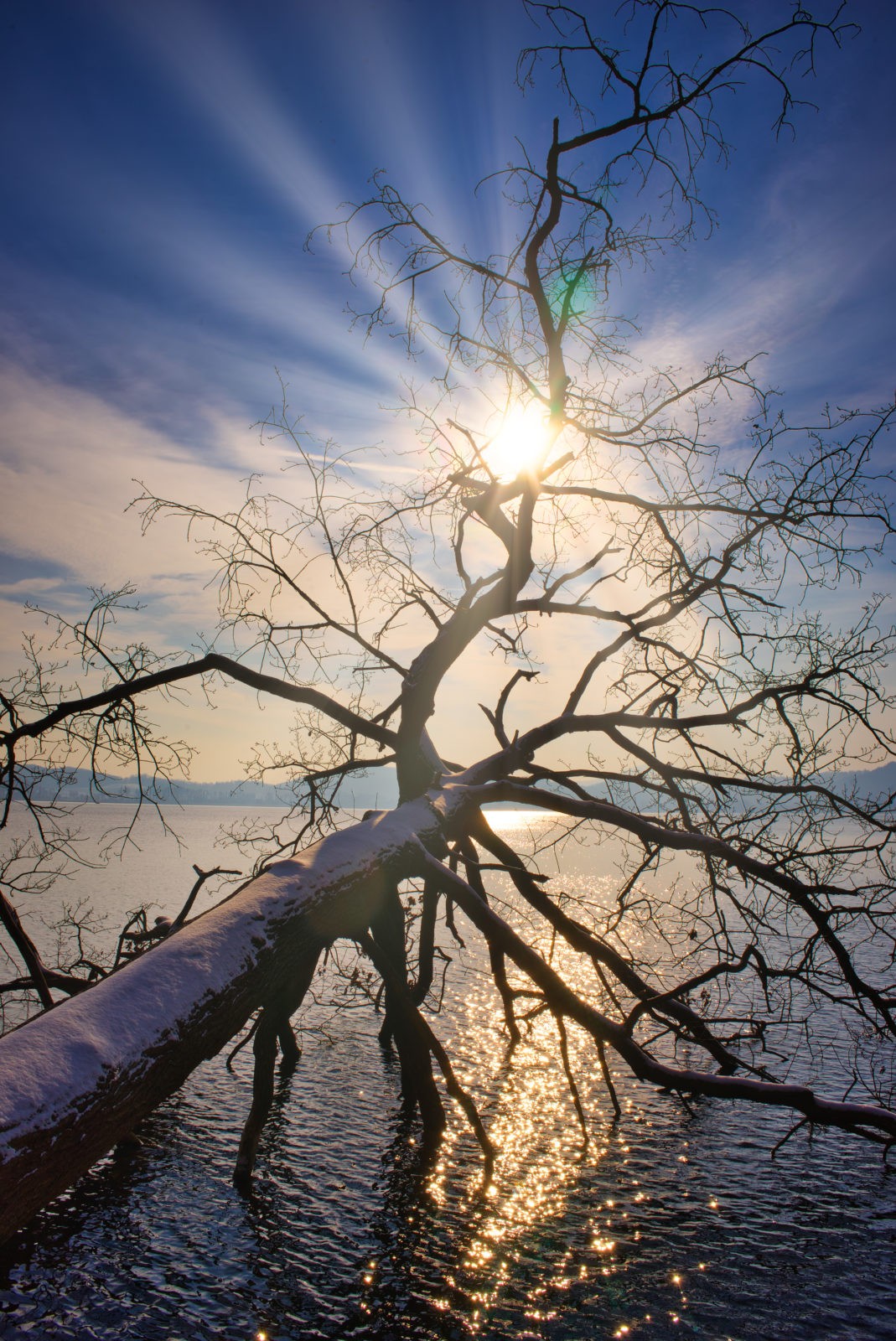 Traumpfad Pellenzer Seepfad