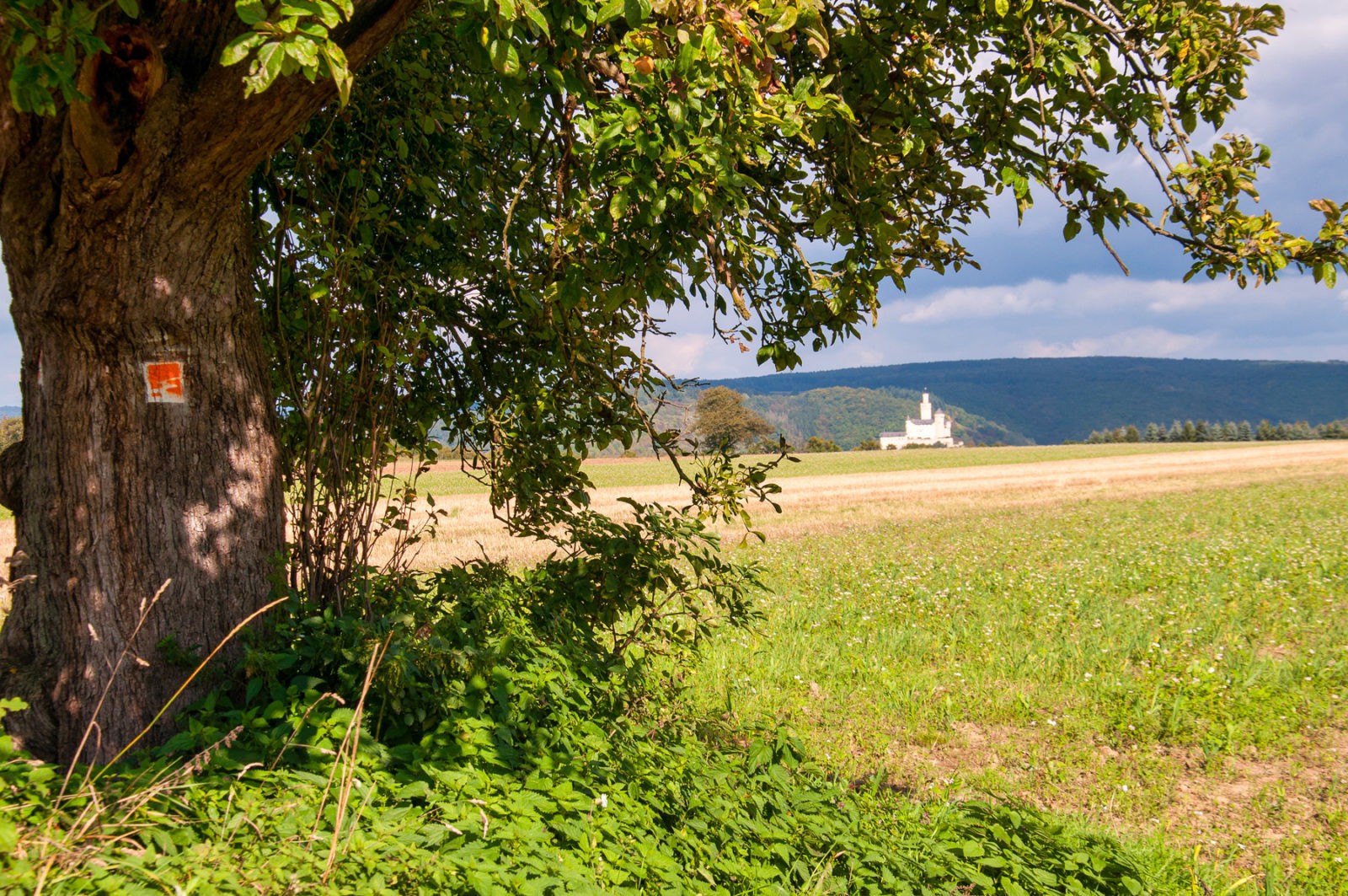 Traumpfad Rheingoldbogen