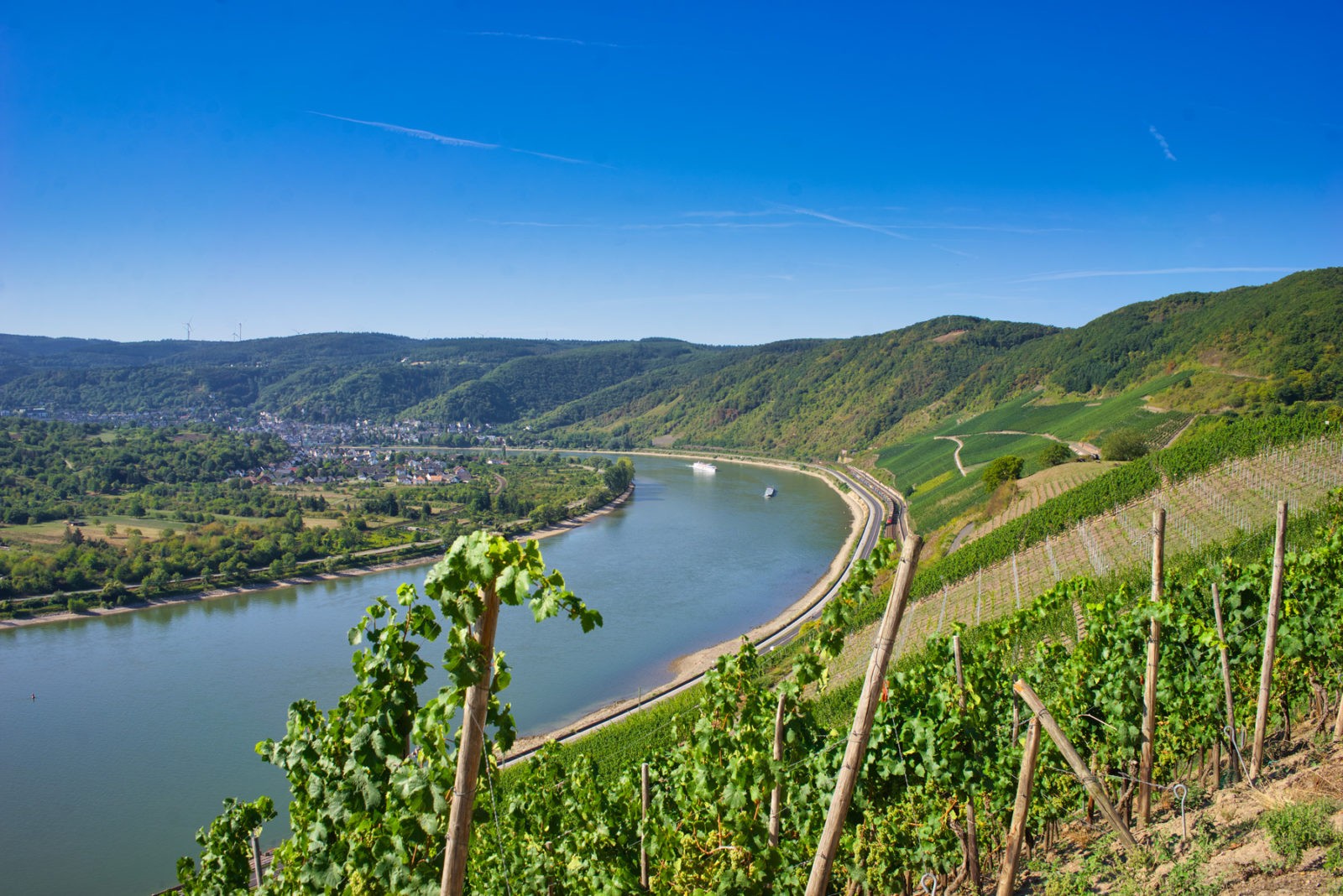 Traumpfad Rheingoldbogen