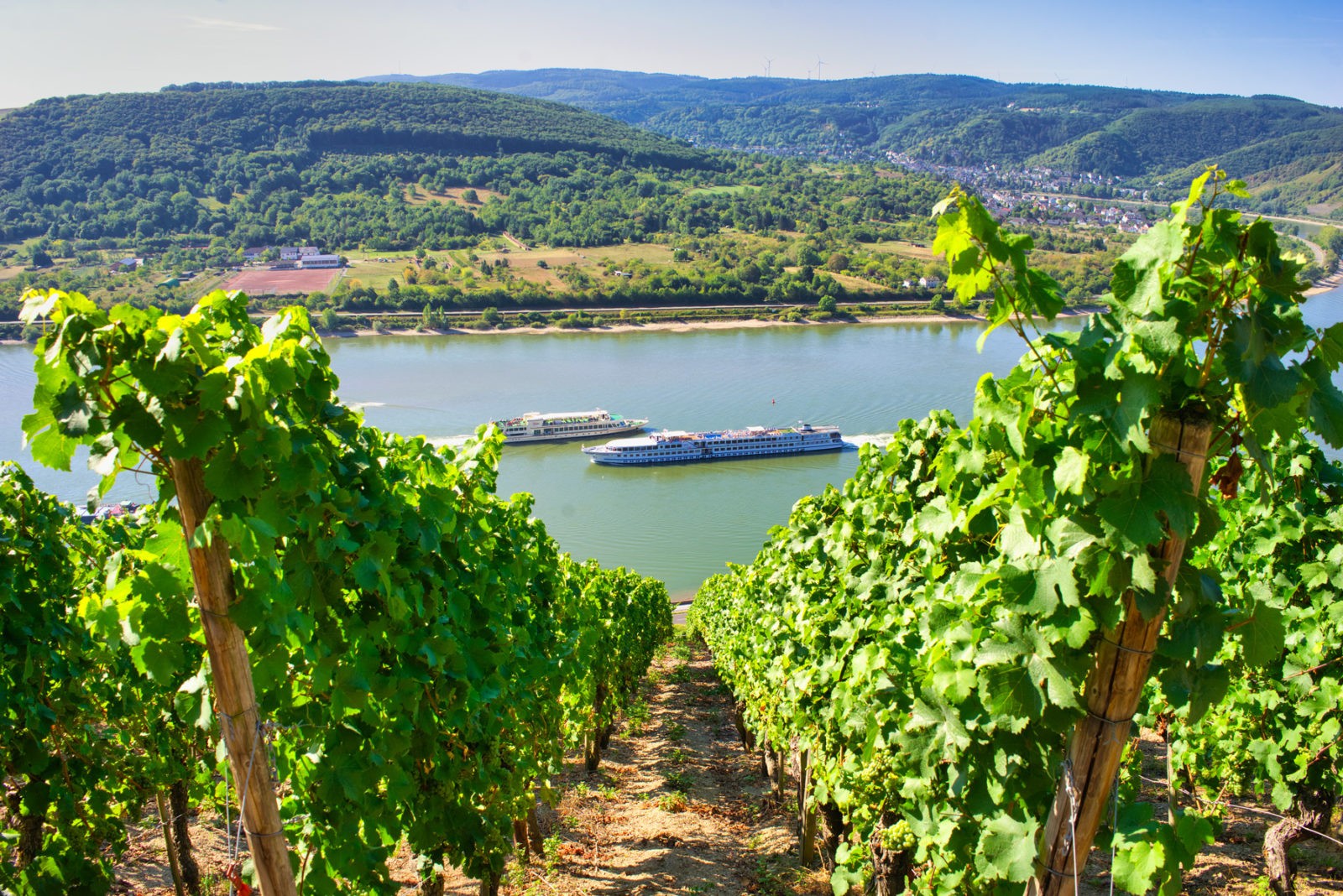 Traumpfad Rheingoldbogen