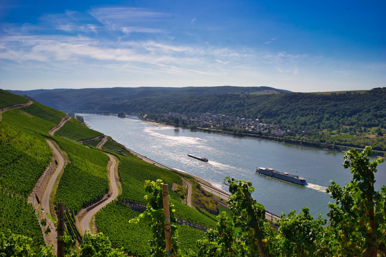 Traumpfad Rheingoldbogen