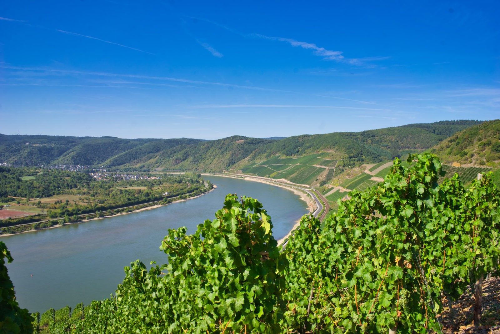 Traumpfad Rheingoldbogen