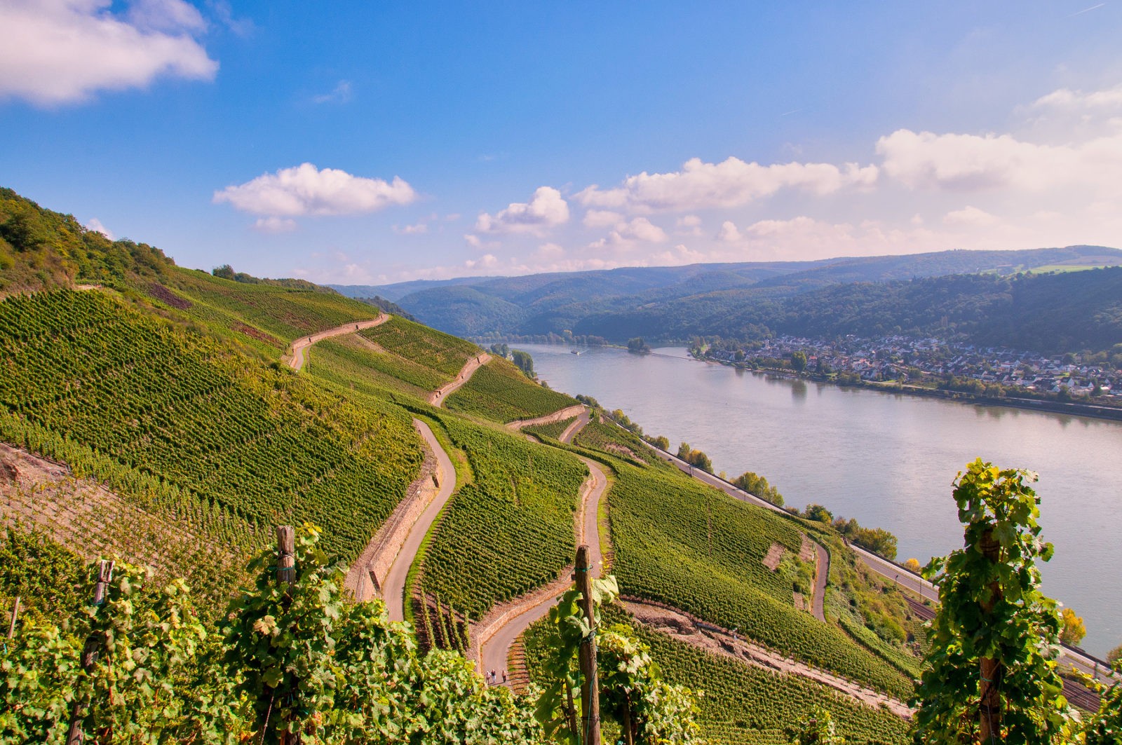 Traumpfad Rheingoldbogen