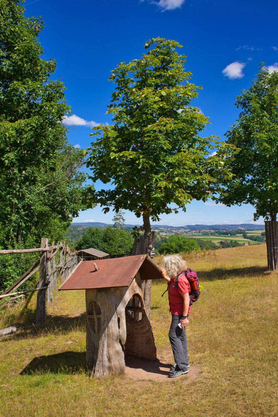 Frankenberger Blickwinkel